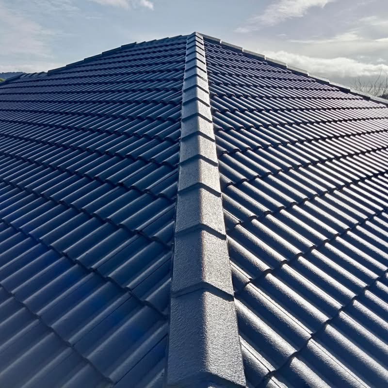 Professional Blue Roof Restoration Finish