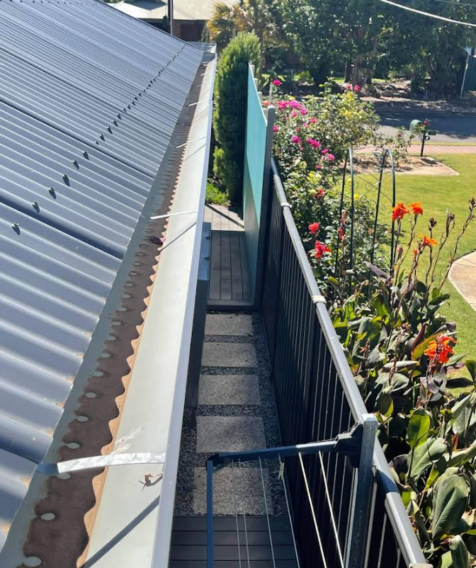 Gutter Cleaning