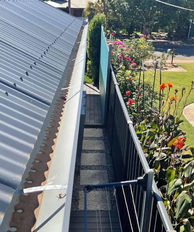 Gutter Cleaning