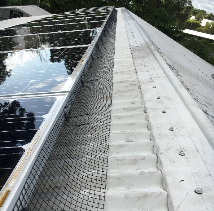 Bird Proofing