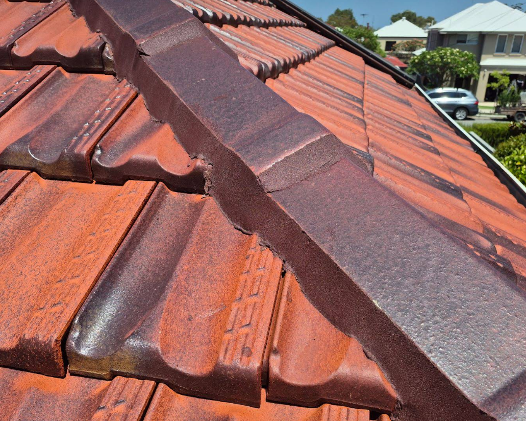 Repointing Detail