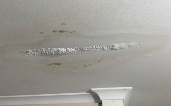 Roof leak reference