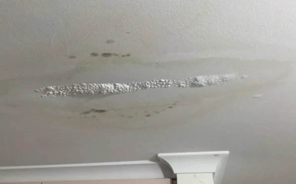 Roof leak reference