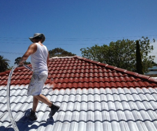 Roof Painting