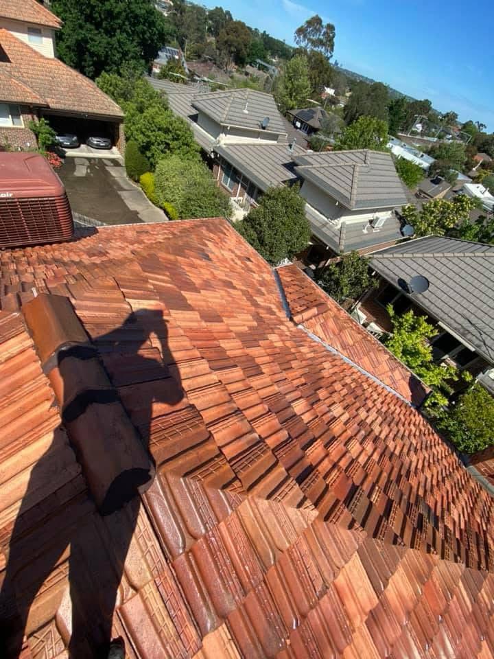 Roof Washing