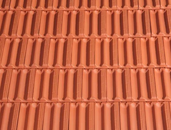 Terracotta Roof
